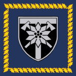 Mountain Assault Brigade
