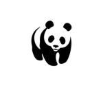 the panda key group