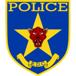 Congolese National Police | 2nd Congo War