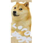 Lord doges army