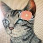 warriorscats_frosty fan's