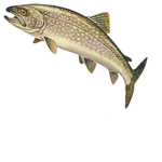 Trout Commander