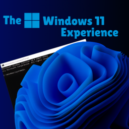 The Windows 11 Experience