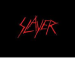 The Slayerssss