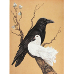 Dove&Crow Co.