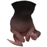 Faceless Bingus