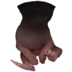 Faceless Bingus