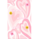 - Chelsea’s closet -