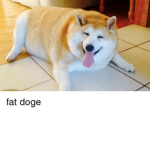 meme and XD gaming