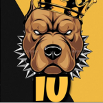 (iu) Ignored Underdogs