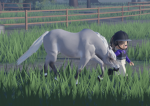 *~Equestrian Academy~*