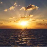 #Sunset Army!!!