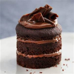 Mini Mud Cakes