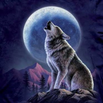 Eclipse Moon Wolf Pack