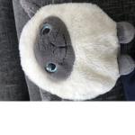 Lamby