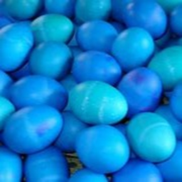 Blue eggs