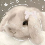 •Ellaxplays•