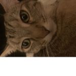 Da Athena