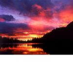 -Sunset Community-