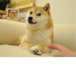 potato doge gang