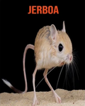 JERBOA gang but cooler