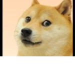 Mr.Doge army