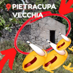 Petracupa Company