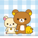 Teddy Vibe Place