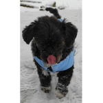 Eddy_2112