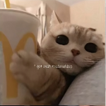 Cat gangsters that love McDonald’s group