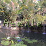 ~Abeille~
