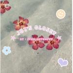 ~ Joy’s Closet ~