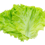 Salat ugc