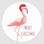 flamingo flocks