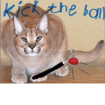 Kick The Ball!