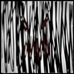 Scary Bobux
