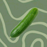 Cucumber Dayz