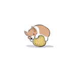 🎃 Corgi Club 🎃