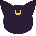 Midnight Black Cat's