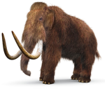 Mammoth people
