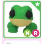 Team rana neon