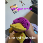 Platypus world harper and Ezra and Remi