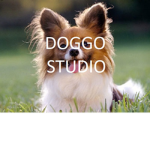 Doggo Studio