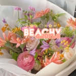 BE4CHY AD0RBS
