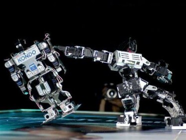 Robot Rulers