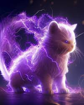 A cool cat club