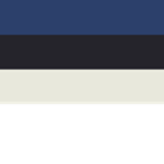 Estonian National Army