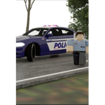 Policemen and Policewoman