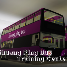 Sheung Ping bus training server(Remake)