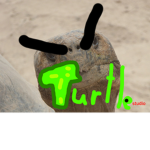 (Turtle Studio)